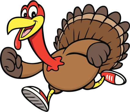a turkey running