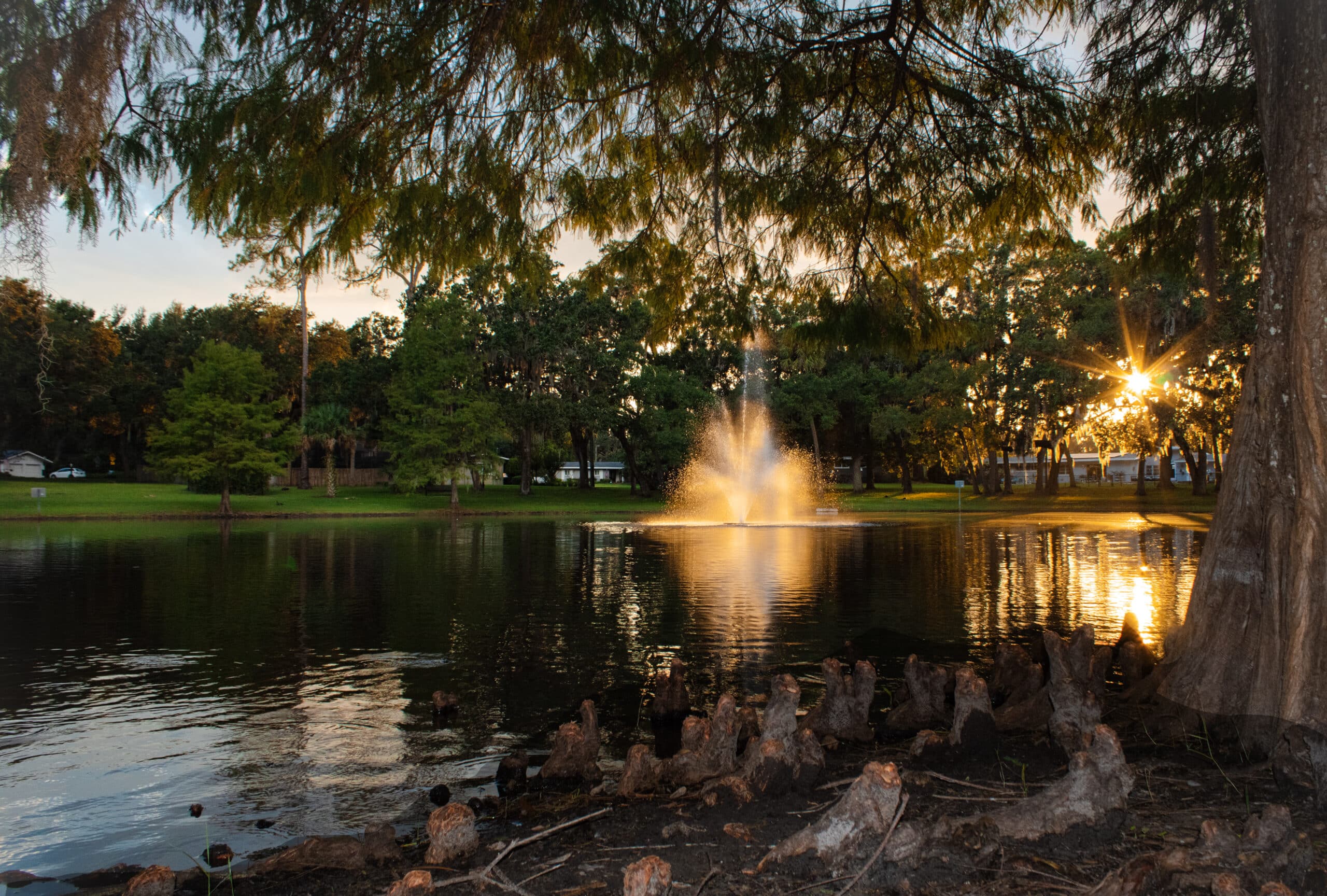 James Dunn Park