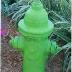 Fire Hydrant Maintenance and Related Flushing