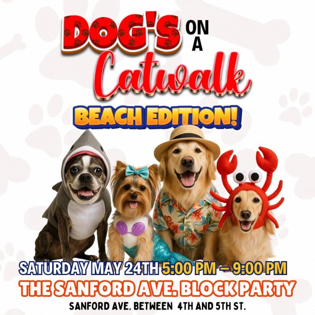 Sanford Block Party flyer