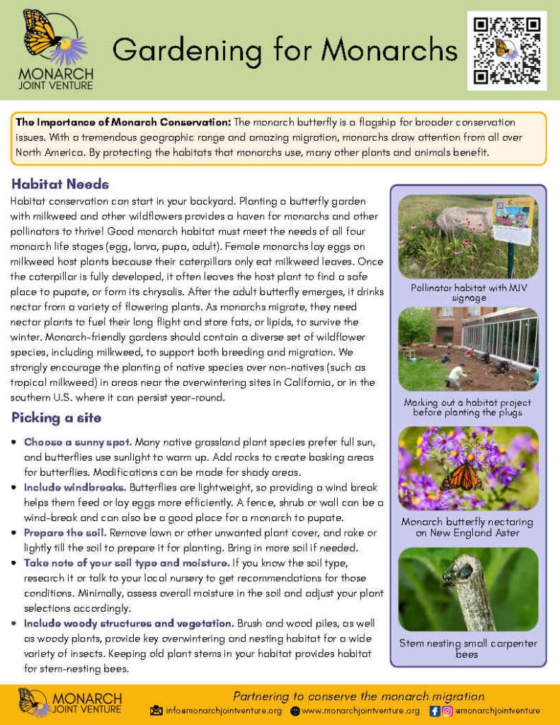 Gardening for Monarchs and Monarch conservation flyer