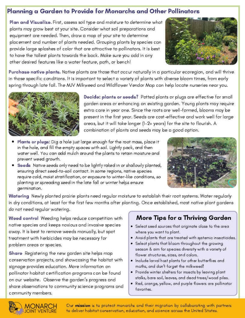 Gardening for Monarchs and Monarch conservation flyer